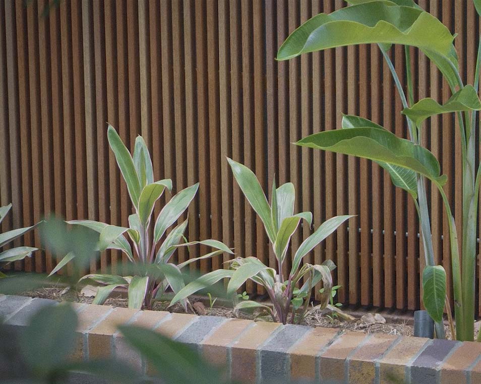 Terrain Management Paddington Garden