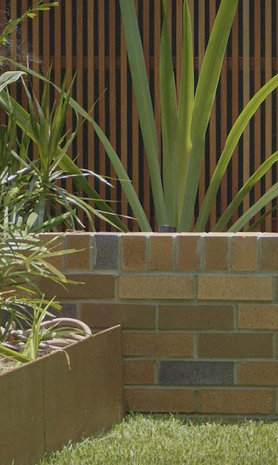 Terrain Management Paddington Garden