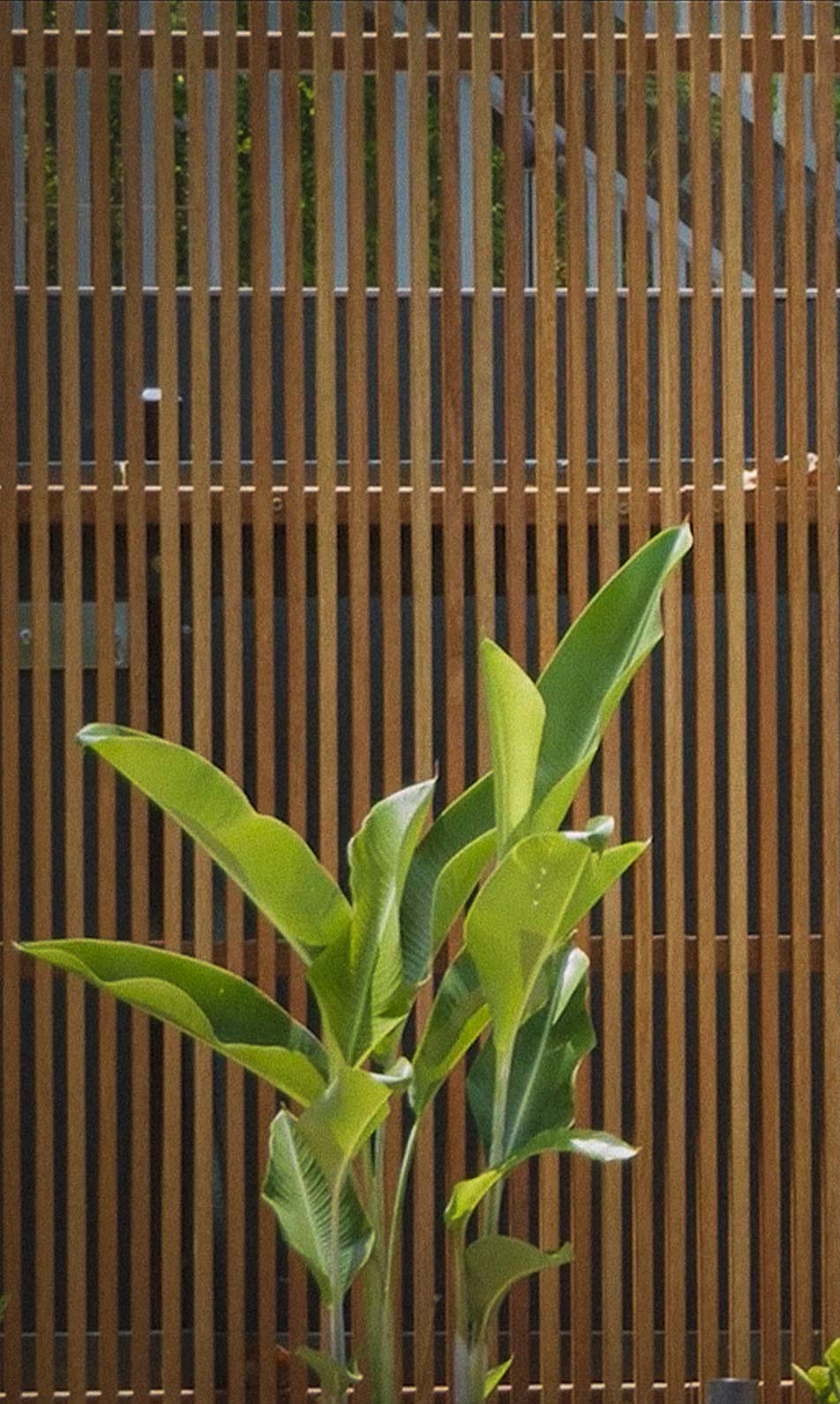 Terrain Management Paddington Garden